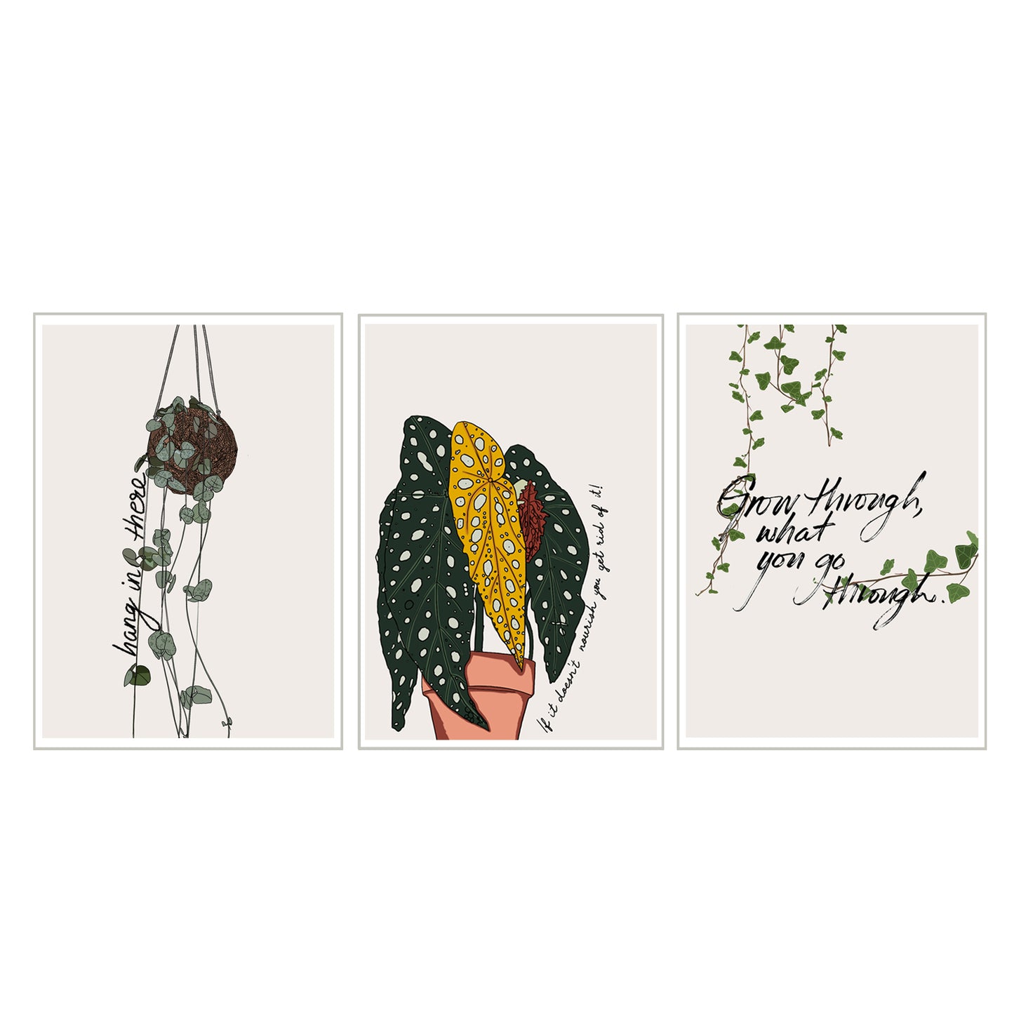 "Plant Quotes"