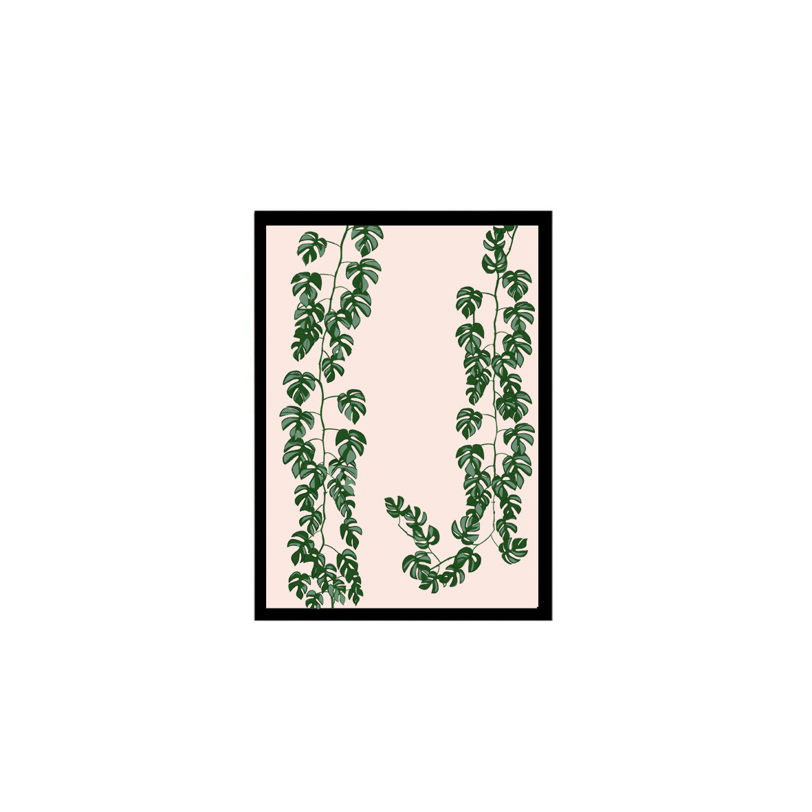 Climbing Plants