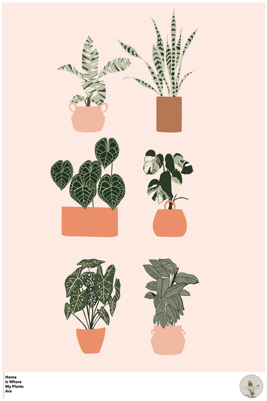 Home is where my plants are Poster.