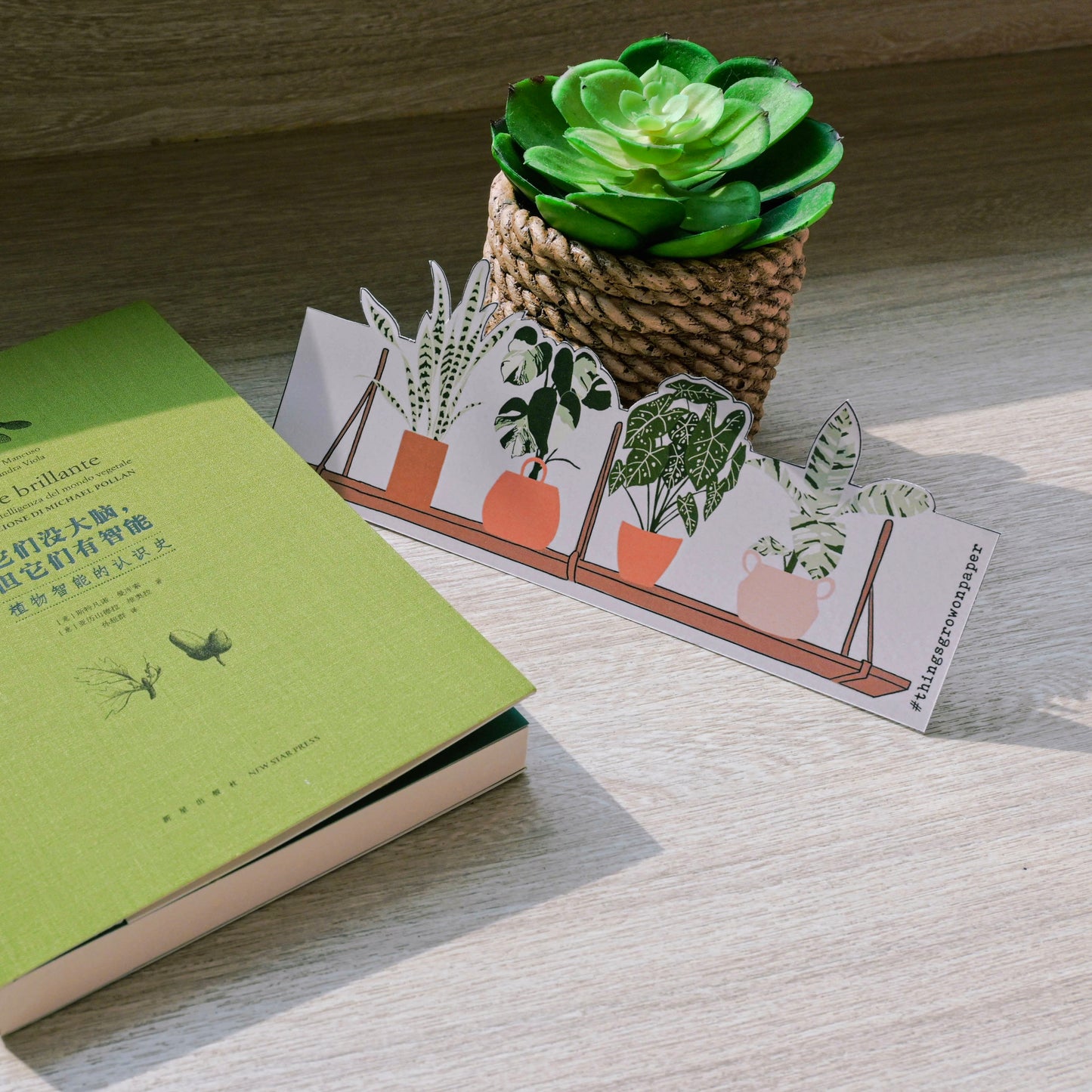 "Plant Shelfie"