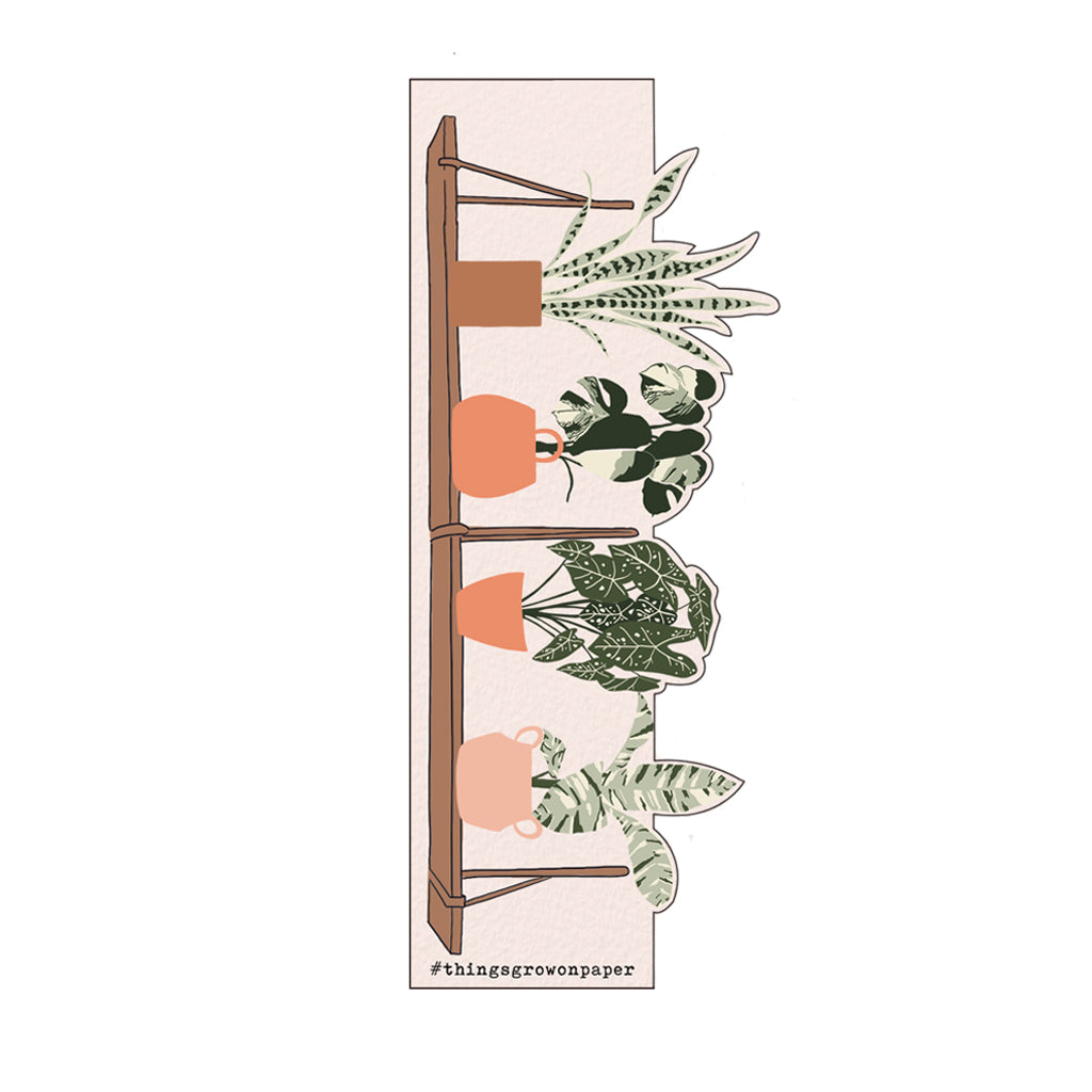 "Plant Shelfie"