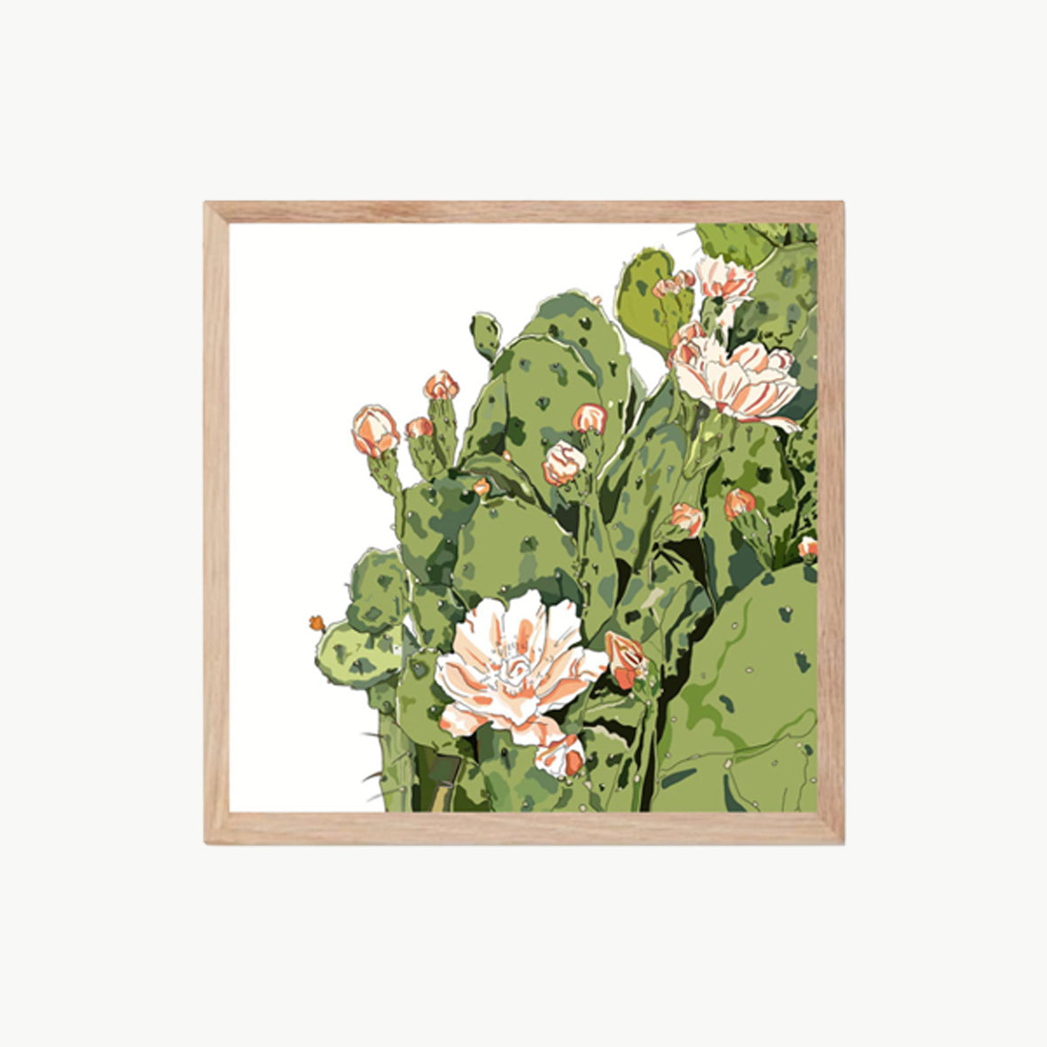 "Cactus And Flowers"
