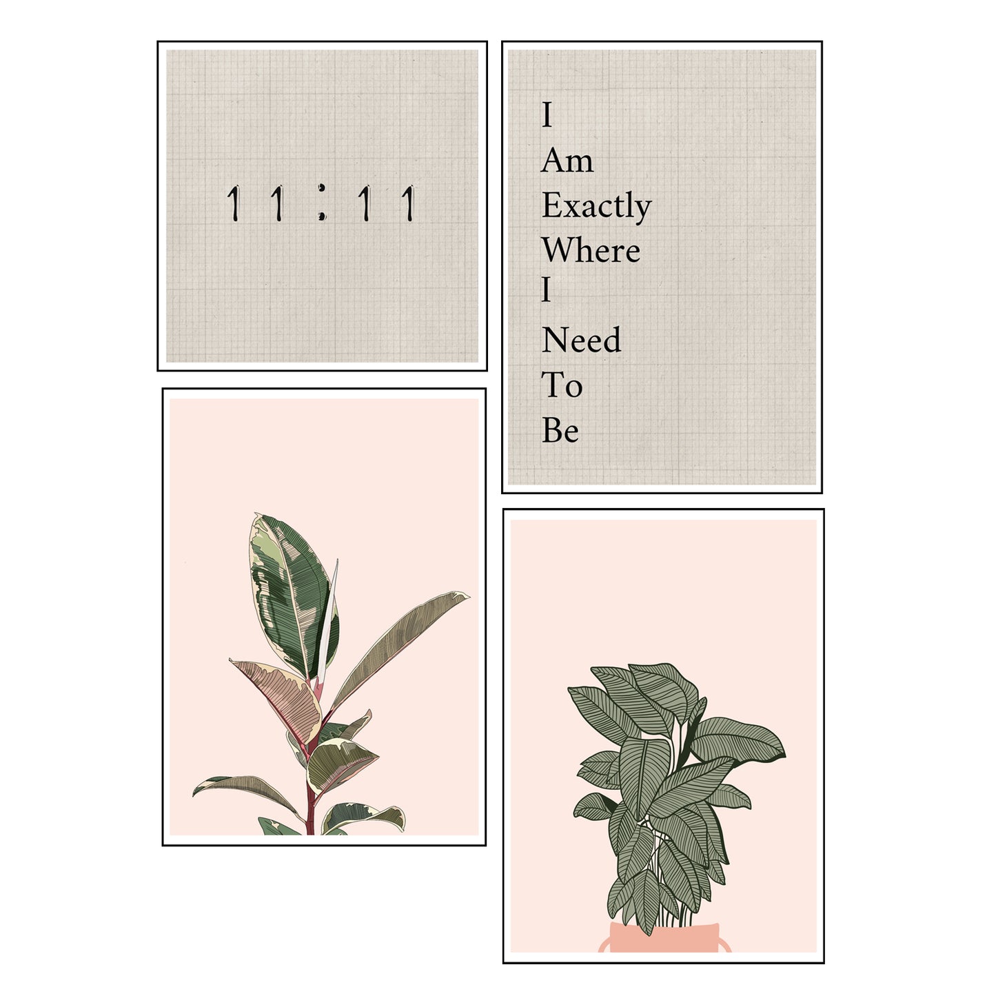 "Growth"