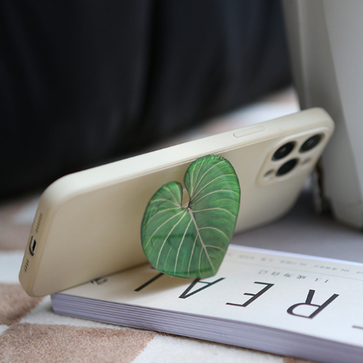 Phillodendron Leaf