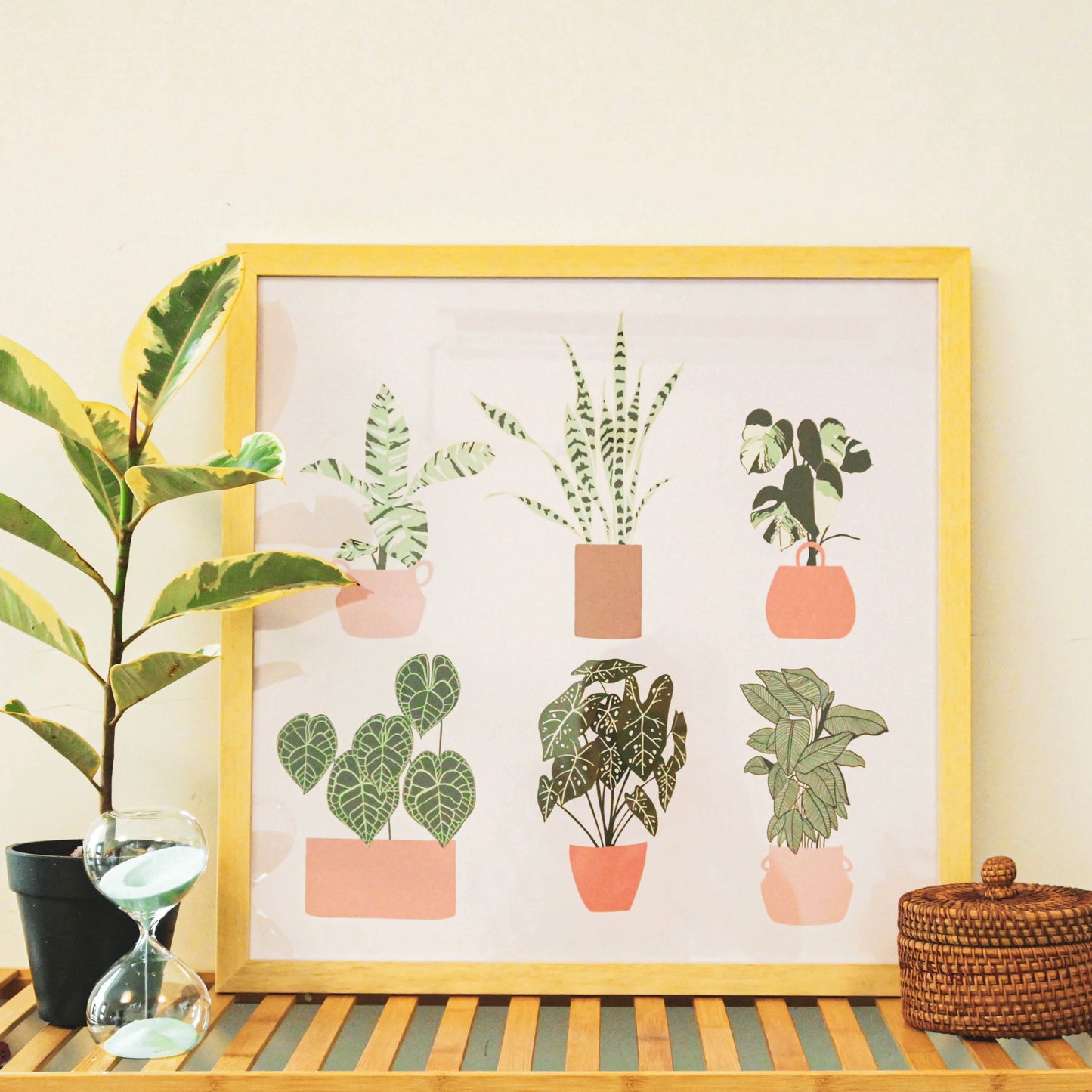 "Home Is Where My Plants Are"