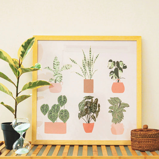 "Home Is Where My Plants Are"