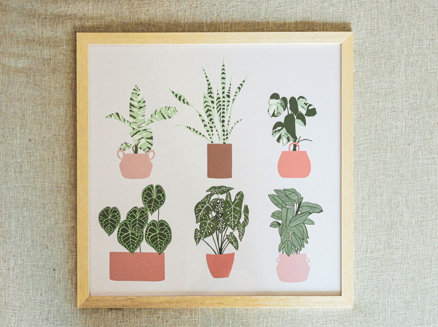"Home Is Where My Plants Are"