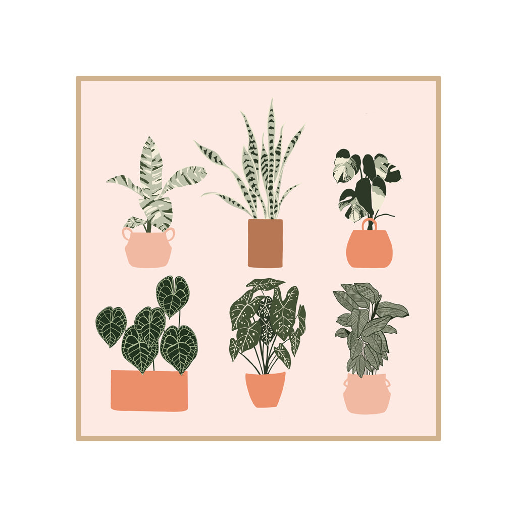 "Home Is Where My Plants Are"